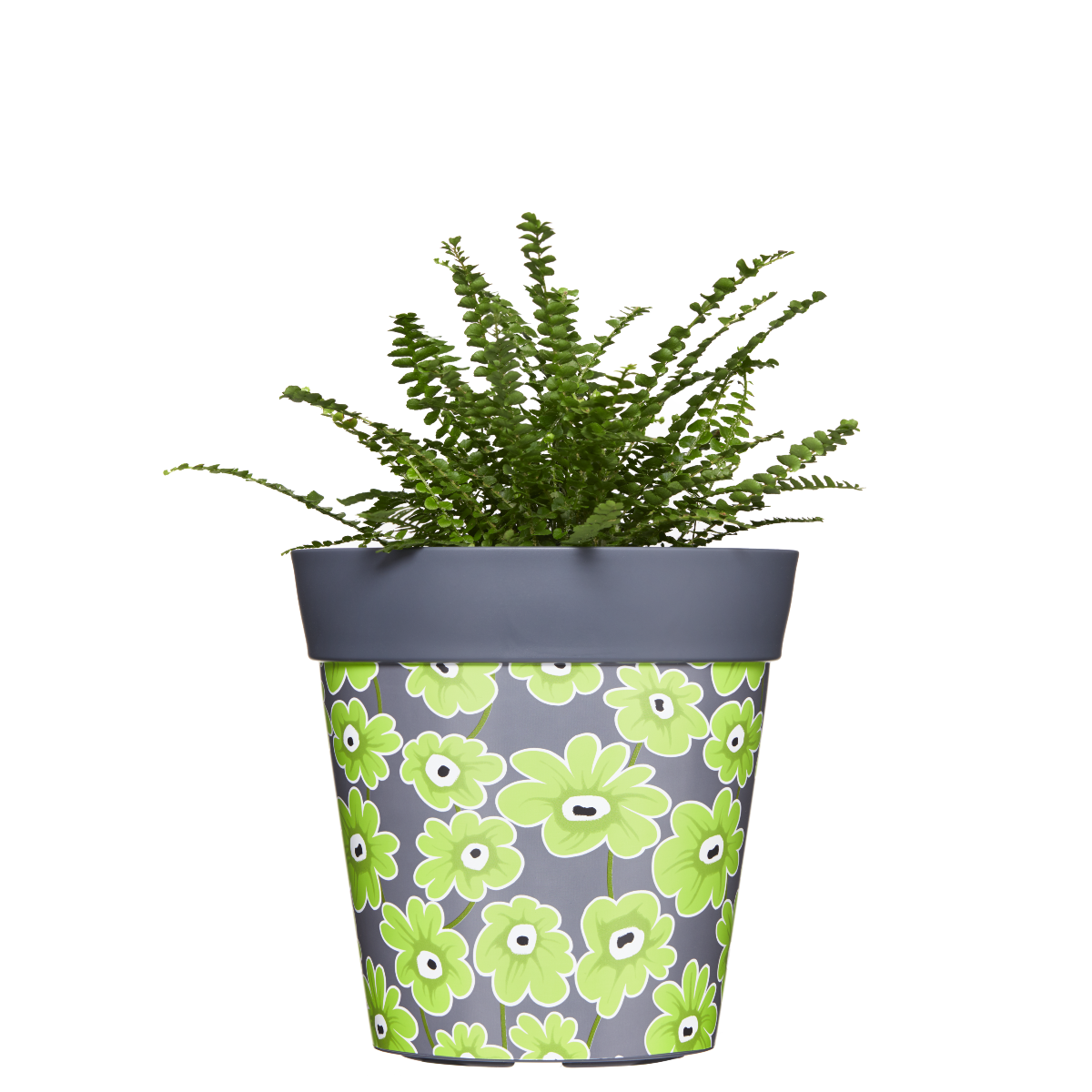 Geometric Decorative Pots( POT-HUM-001 )