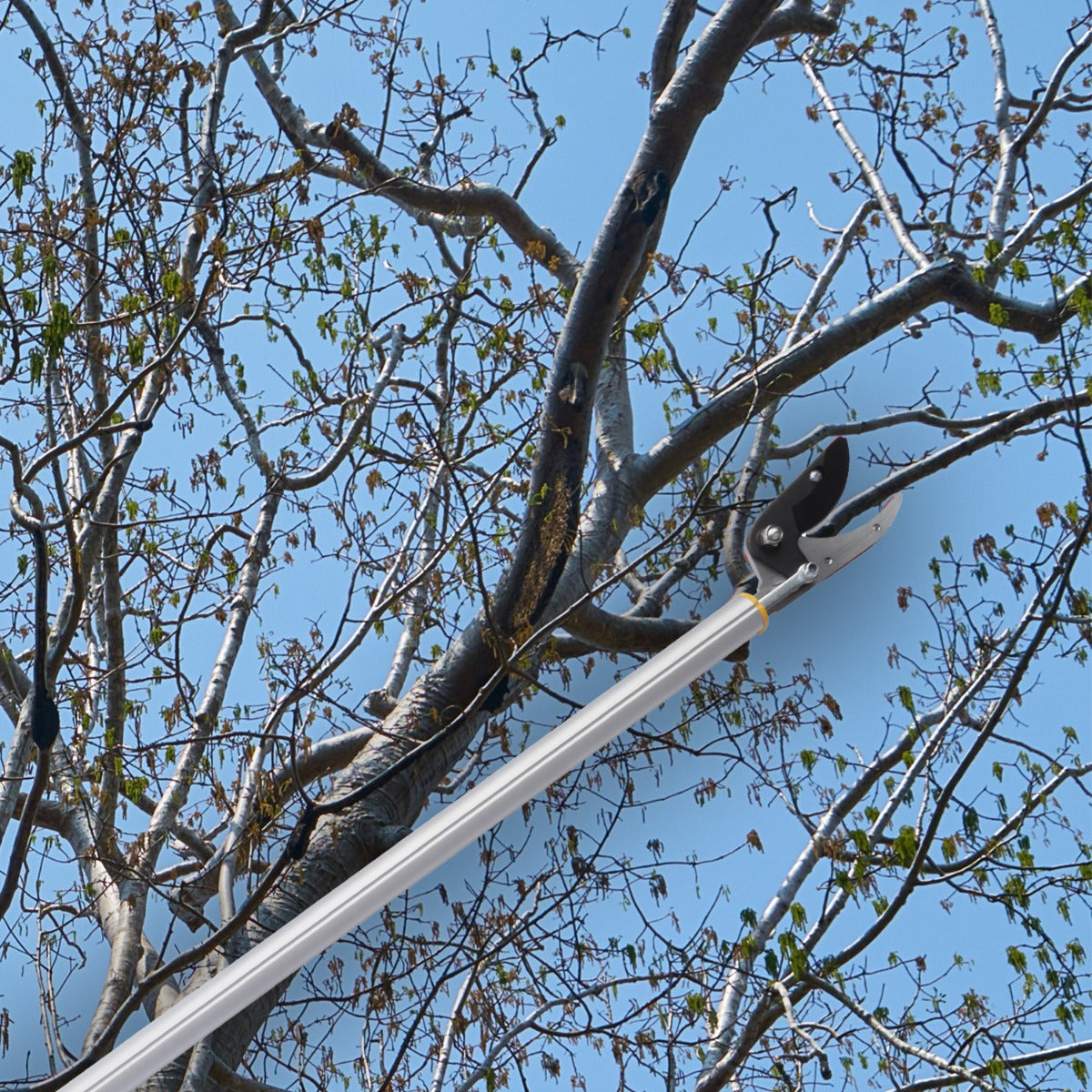 Sharpex Heavy Duty 4.4 Feet Long Reach Pruner Aluminum Telescopic Cut and Hold Pruner For Tree Branch Cutter & Trimming, Cutting Leaves, Fruit Picker | Cut Up to 2 Inch & Hold Easy Garden Pruning Tool