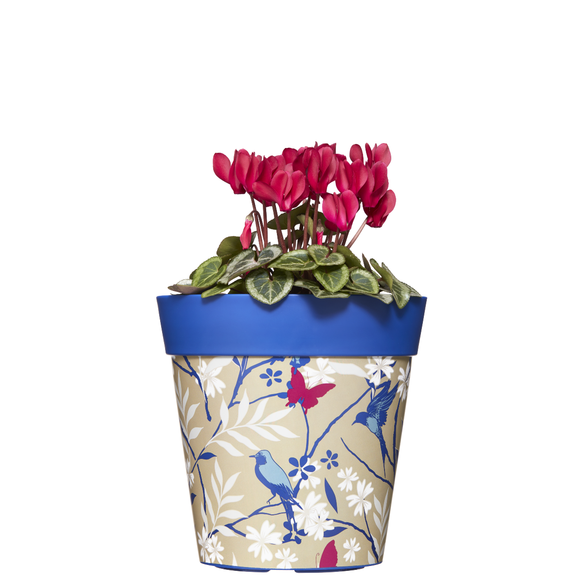 Geometric Decorative Pots( POT-HUM-003 )
