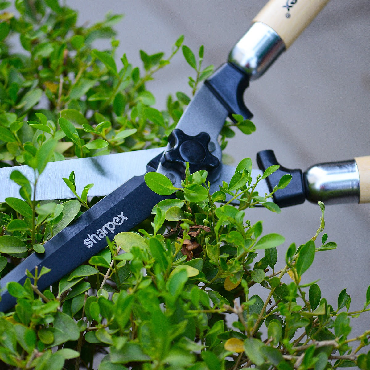 Heavy Duty 9 Inch Steel Blade Hedge Shear