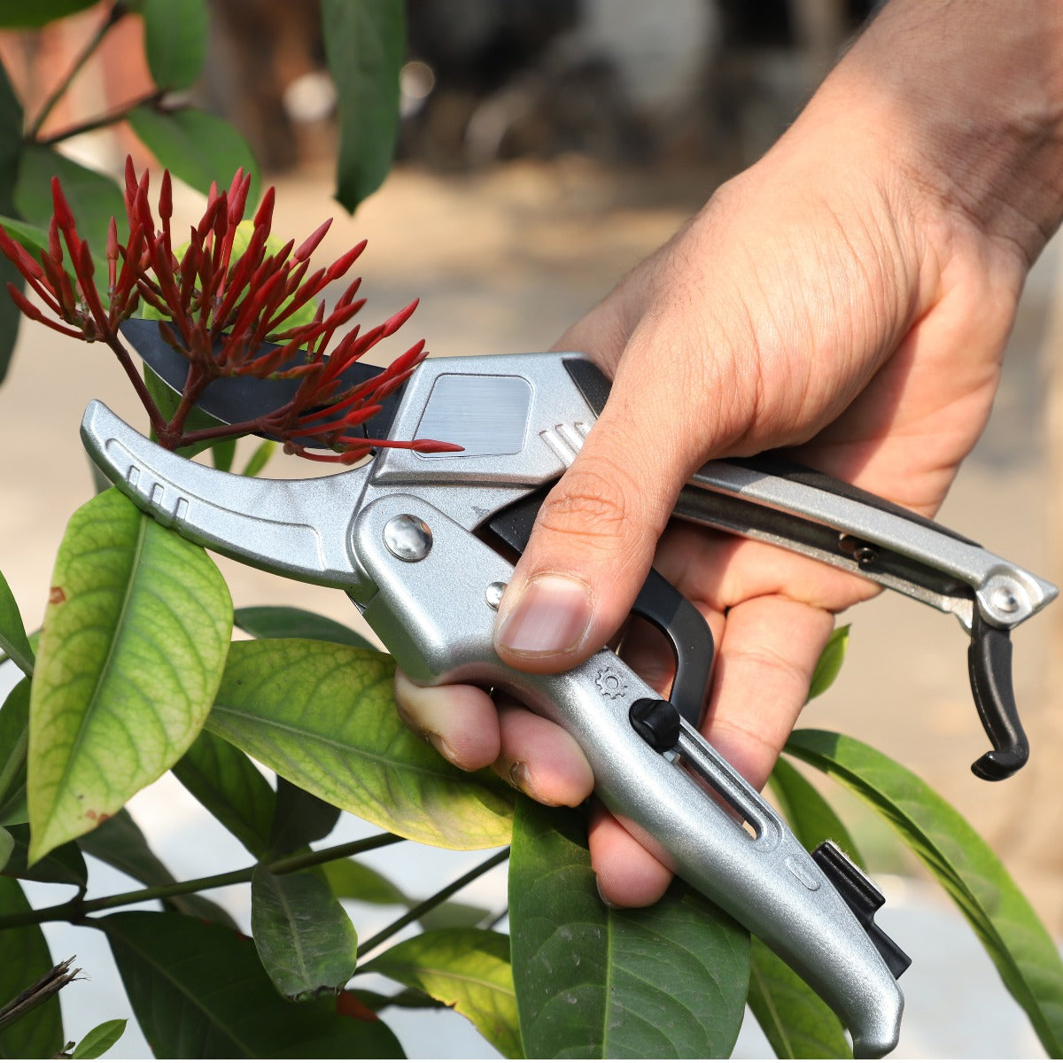 Ratchet Garden Pruning Shears, Anvil Type