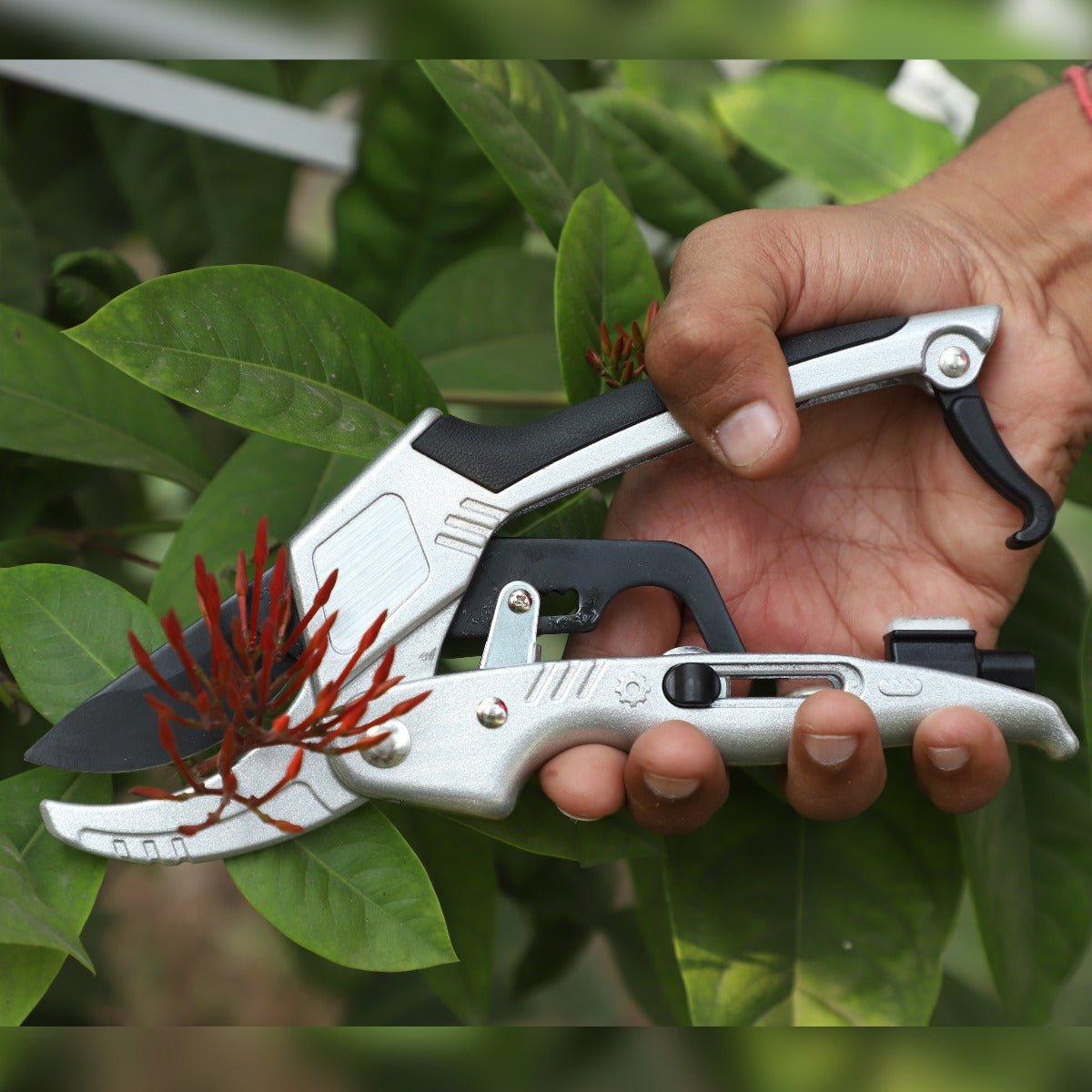 Ratchet Garden Pruning Shears, Anvil Type