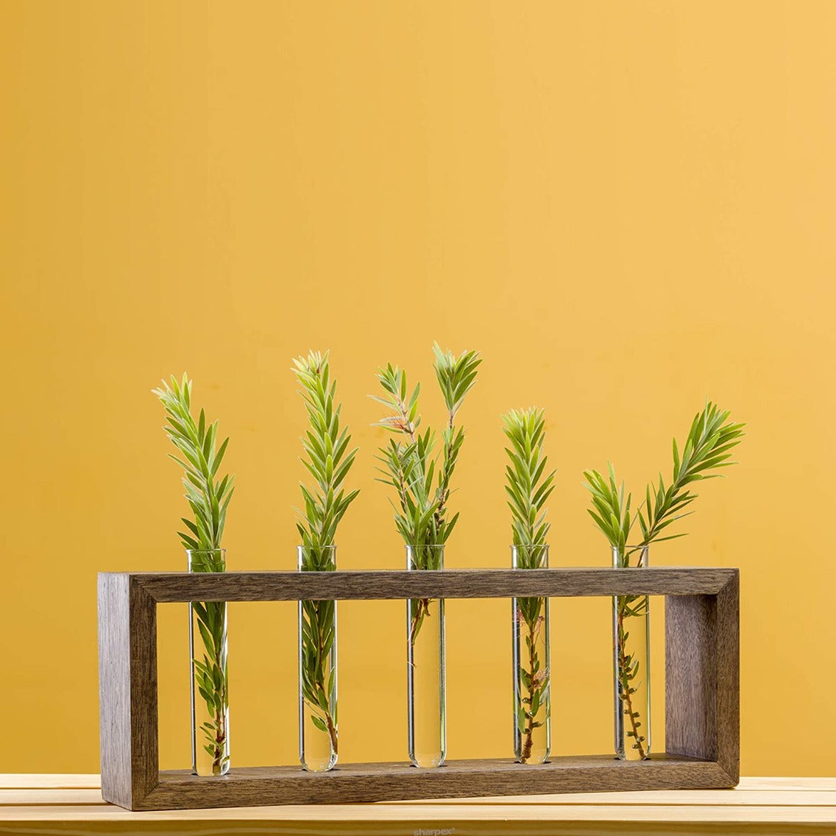 5 Test Tube Planter( ID-BR-003 )