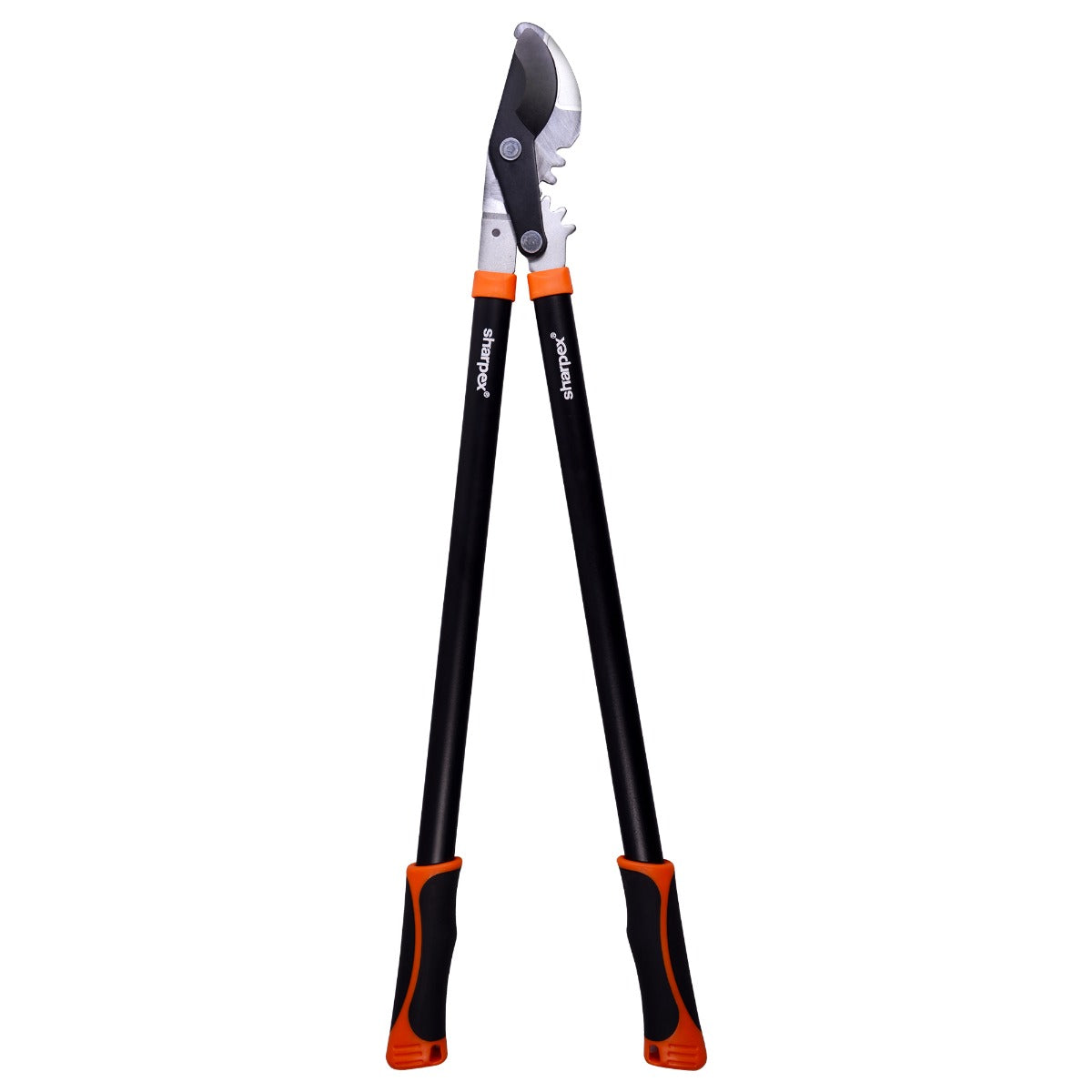 Bypass Lopper with Compound Action