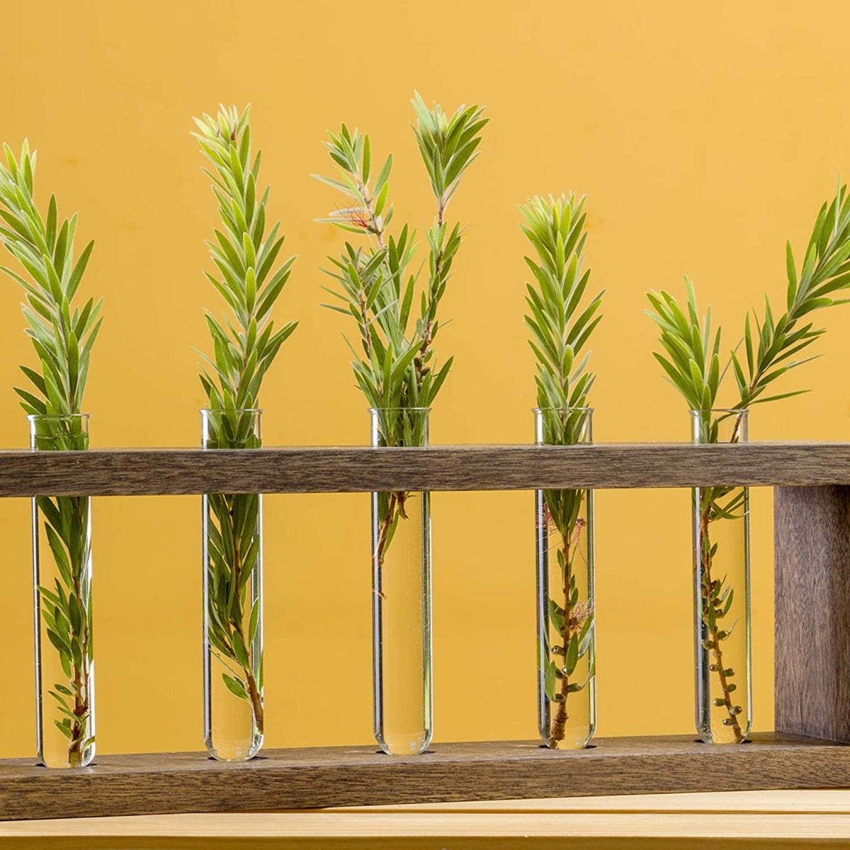 5 Test Tube Planter( ID-BR-003 )