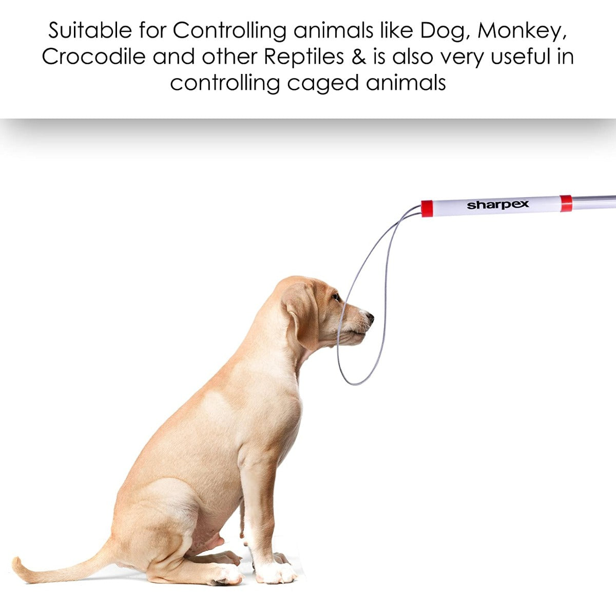 Animal Snare Pole