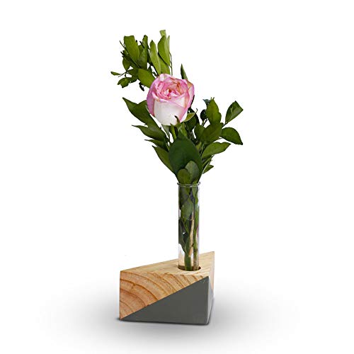 Triangle Test Tube Wooden Plant Stand (ID-BR-008)