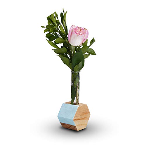 Hexagon Test Tube Wooden Plant Stand (ID-BR-007)