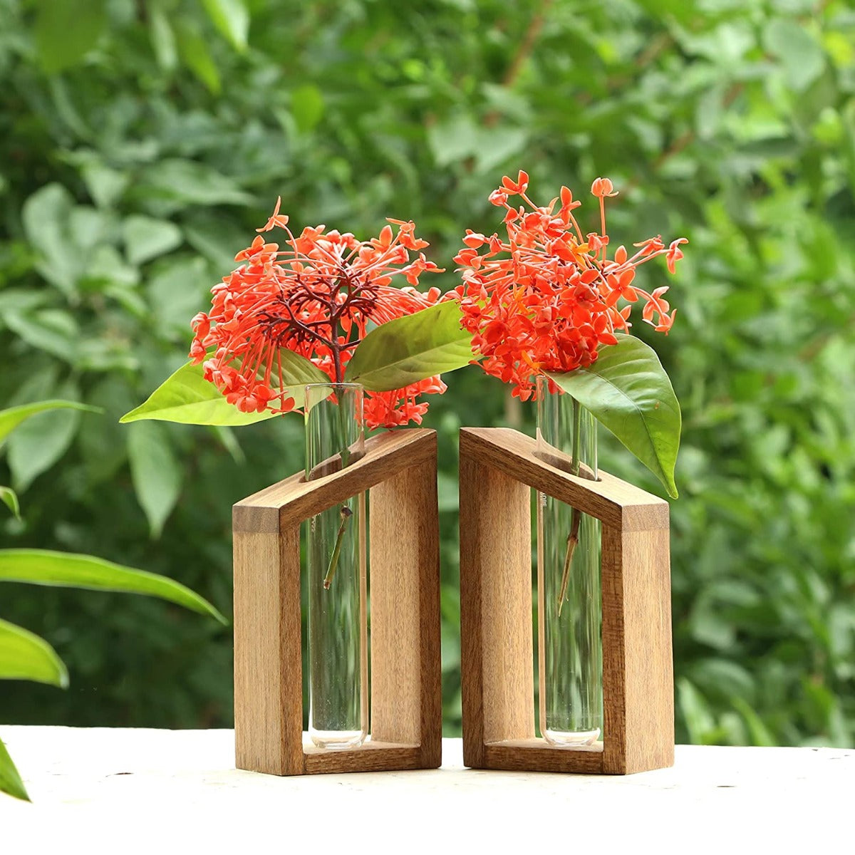2 Test Tube Planter ( ID-BR-001 )