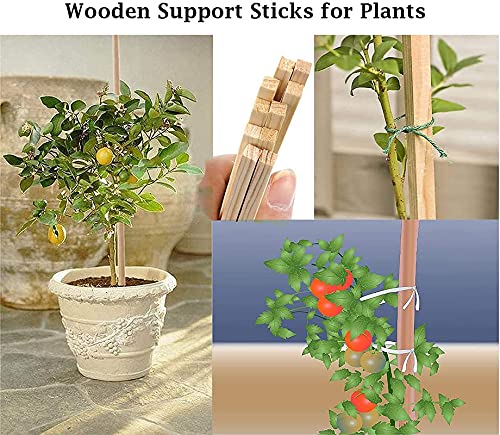 3 Feet Wooden Support Sticks for Plants - 12 PC (CO12-WS-BR-001)