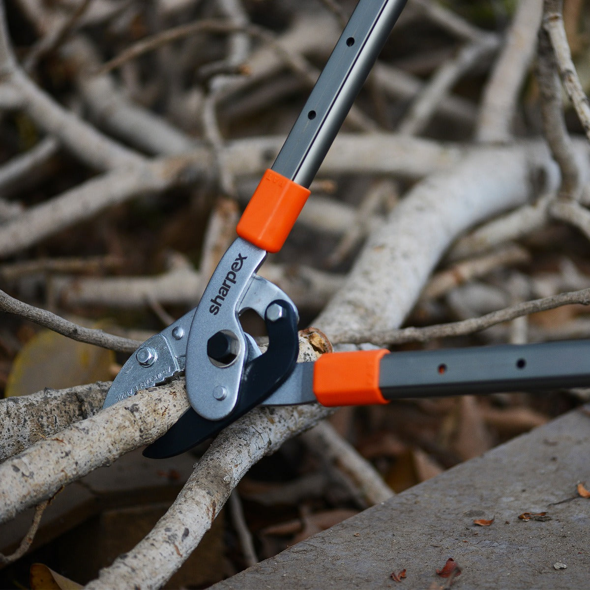 Anvil Lopper with Telescopic Handles