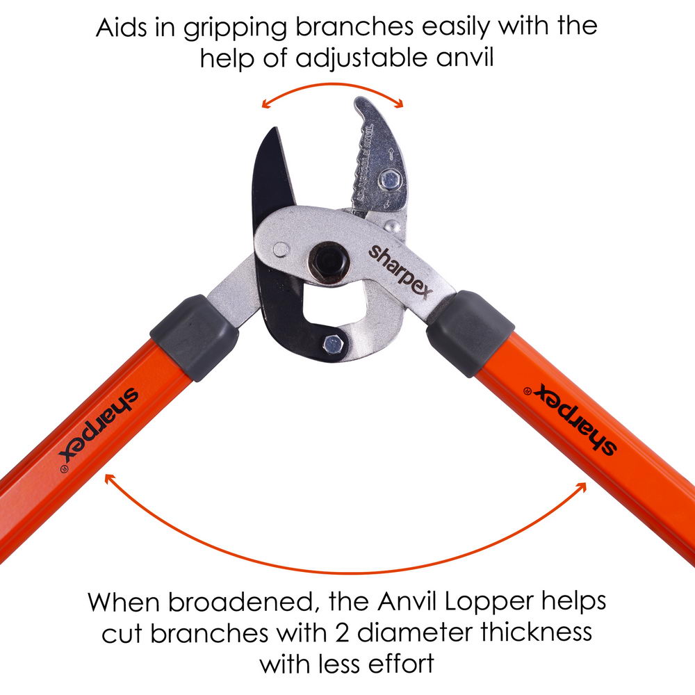 Anvil Lopper