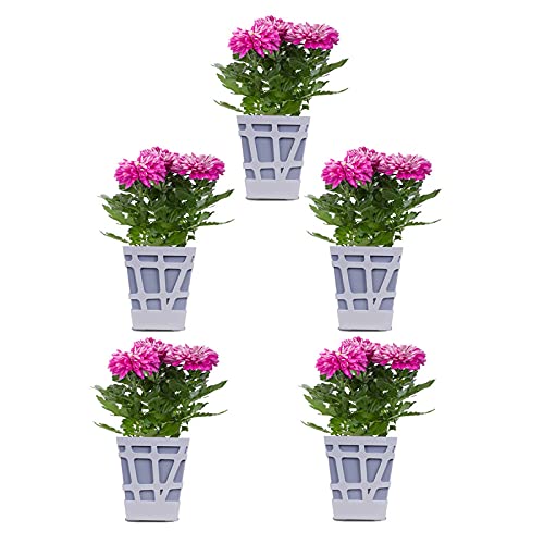 m&s plant pots Mosaic Pot-Ash Grey-Set of 5(CO5-POT-MS-Q17-603) – Sharpex India