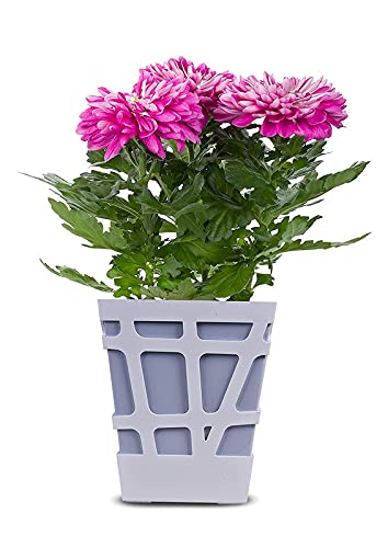 Mosaic Pot-Ash Grey-Set of 5(CO5-POT-MS-Q17-603)