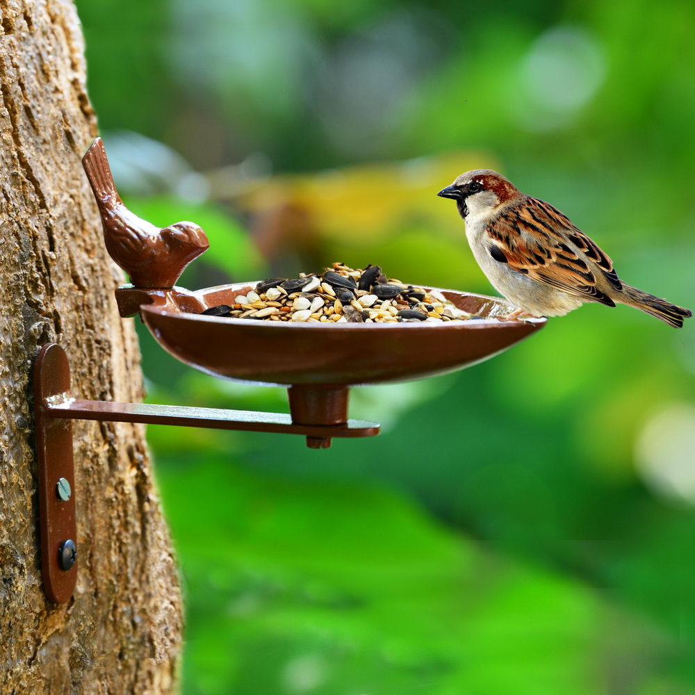 Bird Feeder - Brown (FD-BR-001)