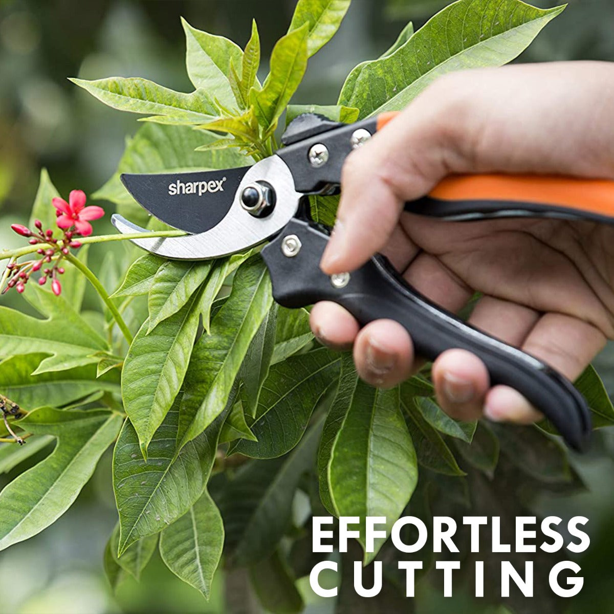Heavy Duty 8 Inch Garden Bypass Pruning Shears