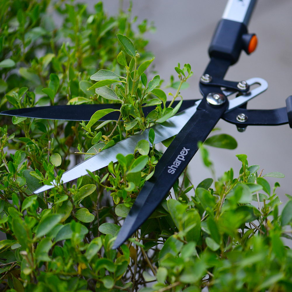 3 Blades Hedge Shear