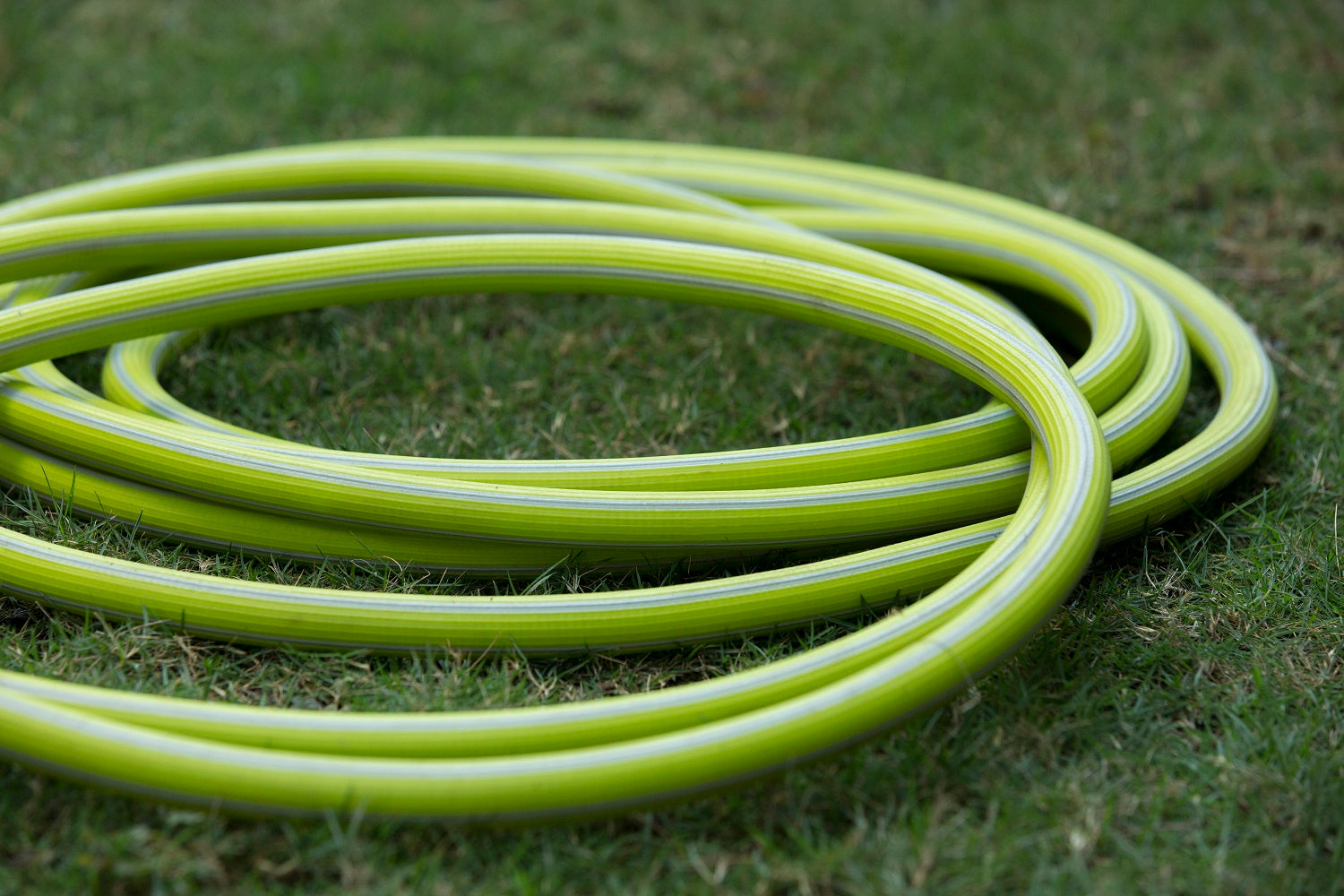 Italian Hose Pipe - 10MT - Green