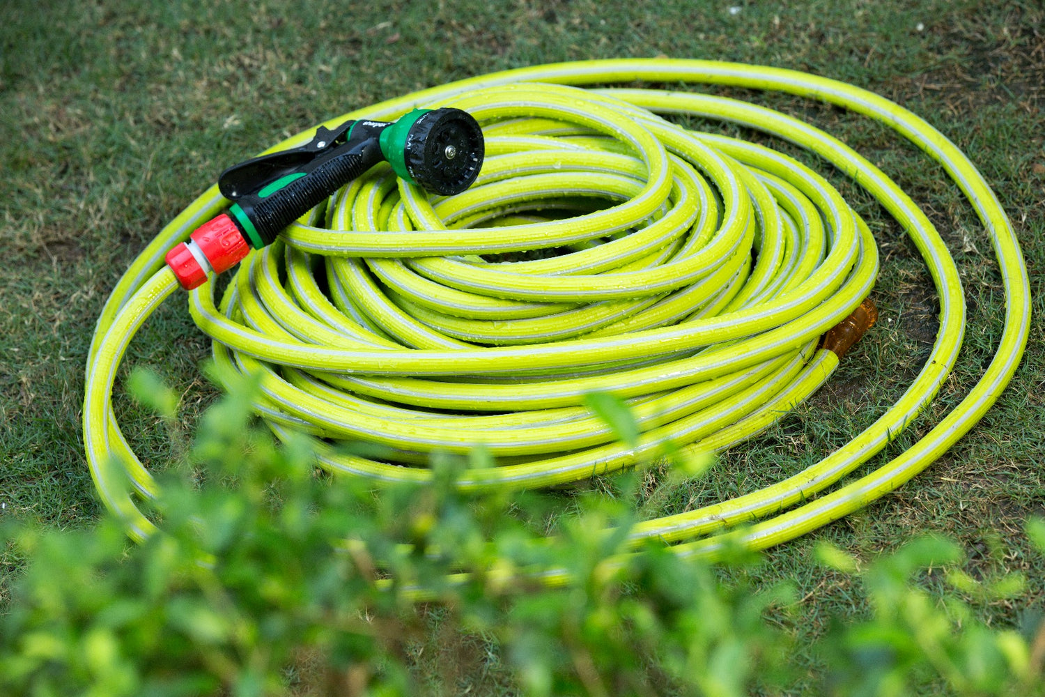 Italian Hose Pipe - 20MT - Green