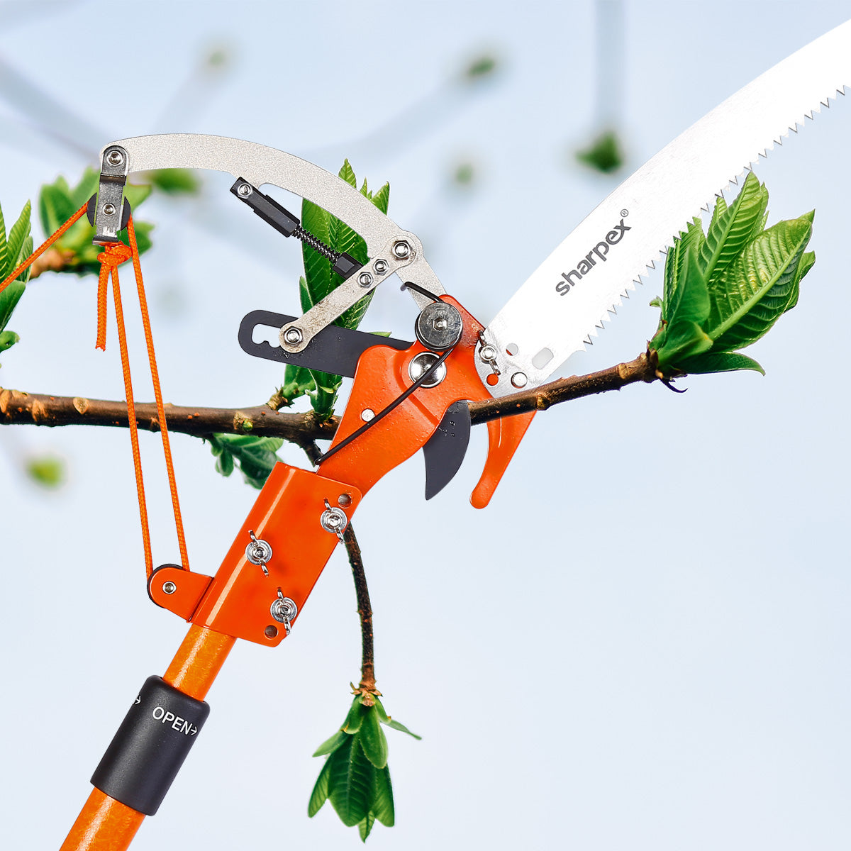Sharpex 2 Stage Telescopic Long Cutter for Tree (LC-OR-001)