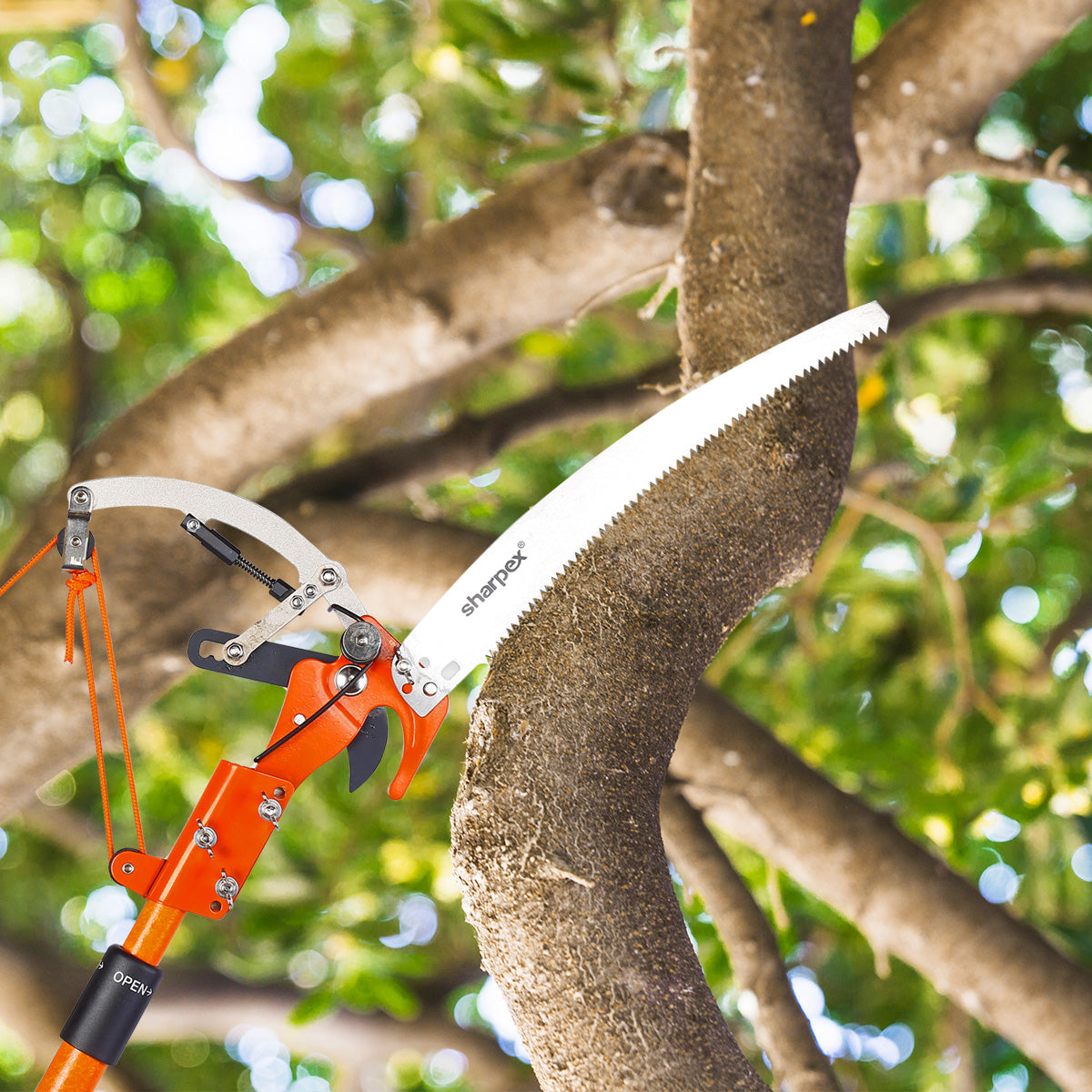 Sharpex 2 Stage Telescopic Long Cutter for Tree (LC-OR-001)