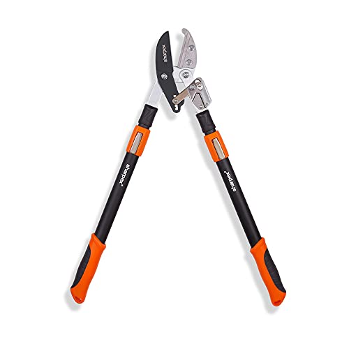 Ratcht Anvil Lopper with Telescopic Handles