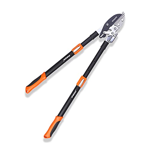 Ratcht Anvil Lopper with Telescopic Handles