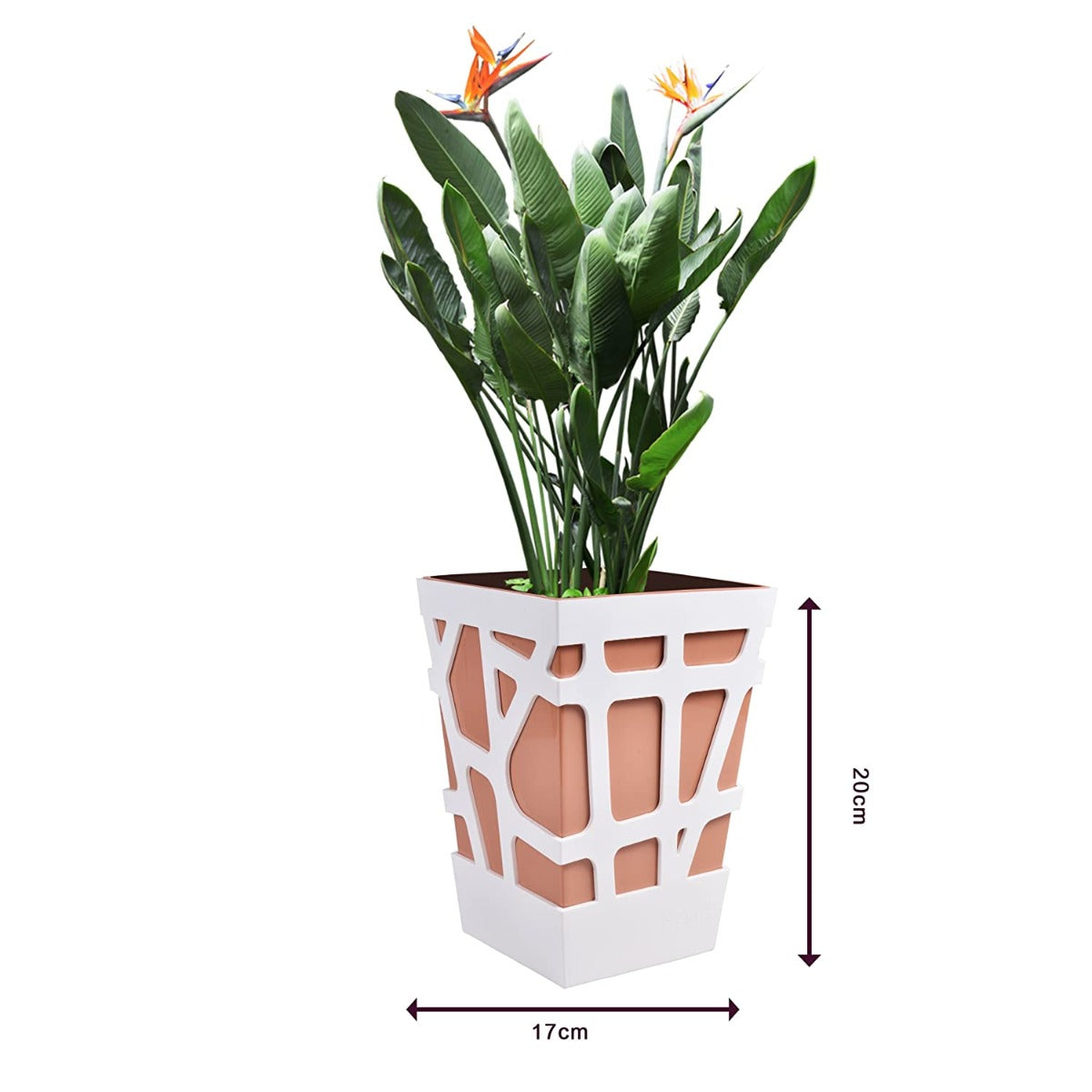 Self Watering Planters( POT-MS-Q17-607 )