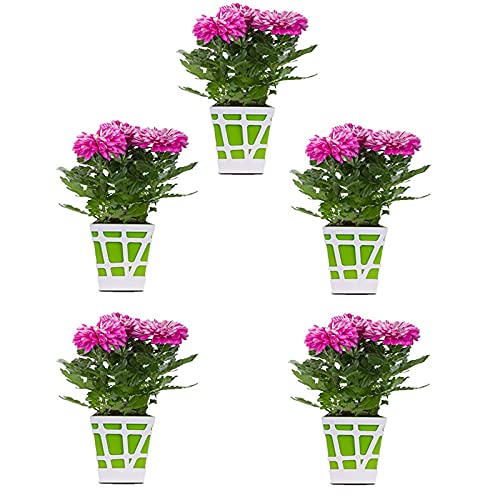 Mosaic Pot-Green-Set of 5(CO5-POT-MS-GR-Q17-01)