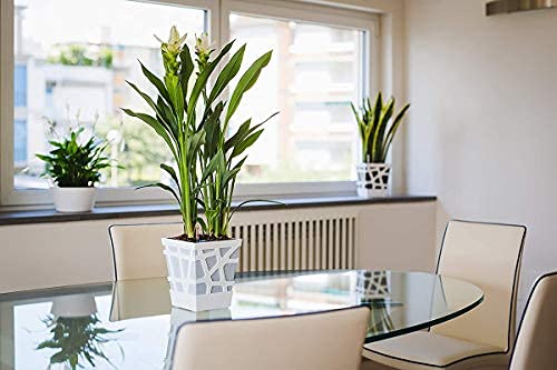 Mosaic Pot-Green-Set of 5(CO5-POT-MS-GR-Q17-01)