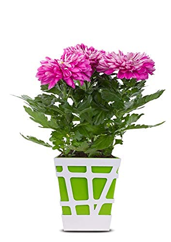 Mosaic Pot-Green-Set of 5(CO5-POT-MS-GR-Q17-01)