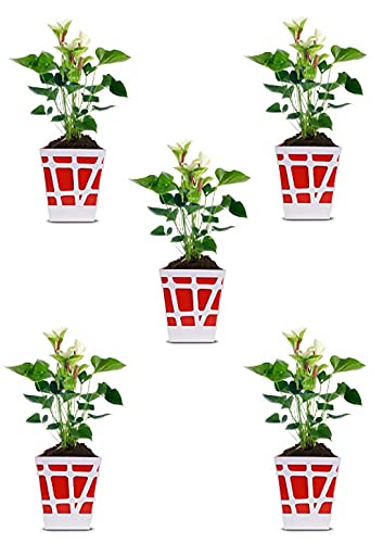 Mosaic Pot-Green-Set of 5(CO5-POT-MS-RE-Q17-03)