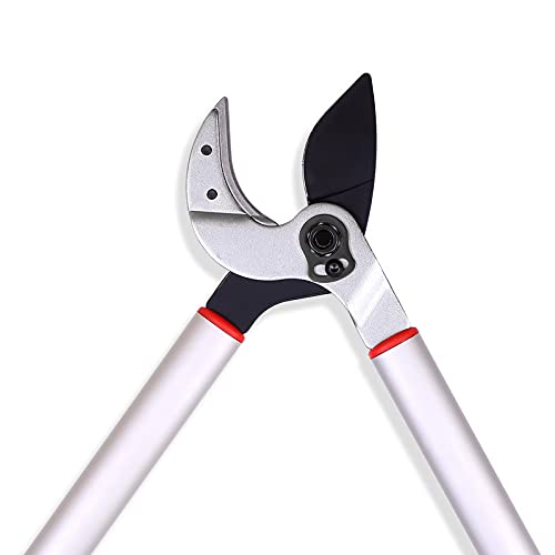 Super long Anvil Lopper