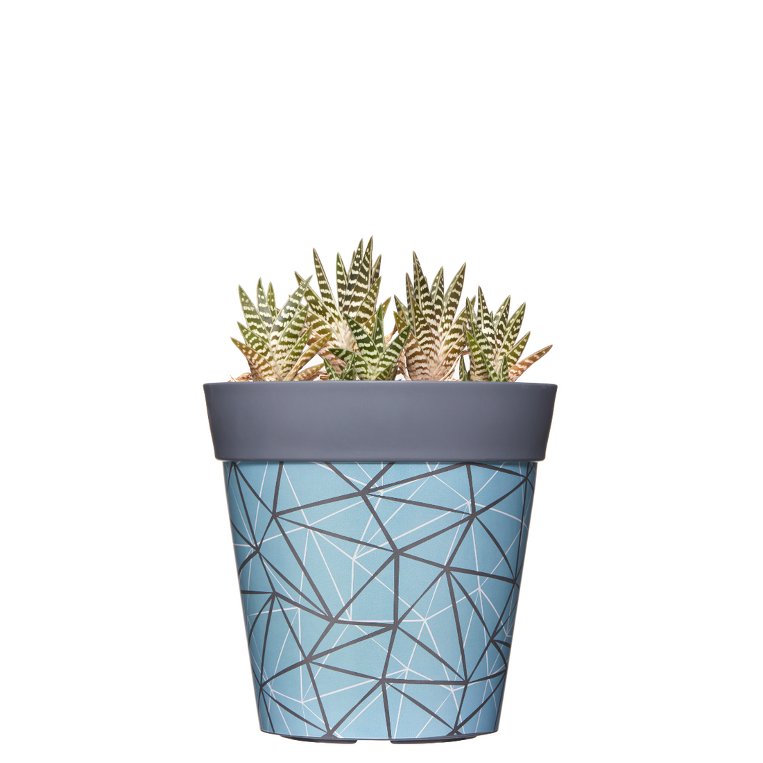 Geometric Decorative Pots( POT-HUM-004 )