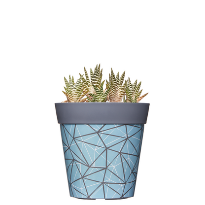 Geometric Decorative Pots( POT-HUM-004 )