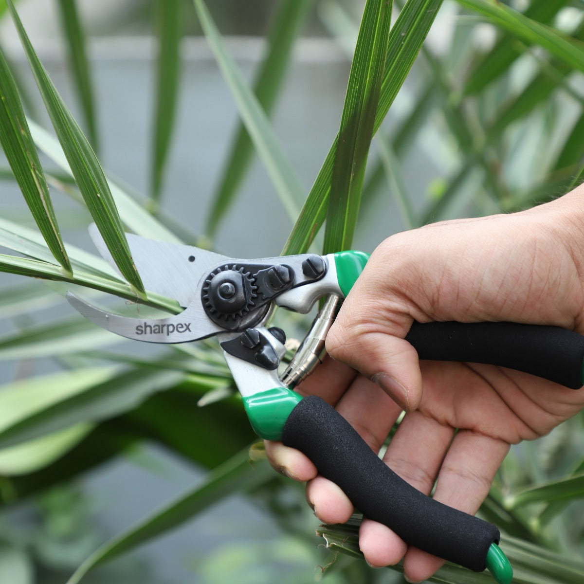 Heavy Duty Pruning Shears Bypass Hand Pruner