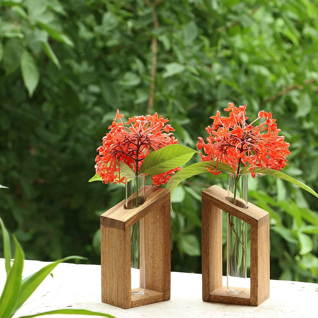 2 Test Tube Planter ( ID-BR-001 )