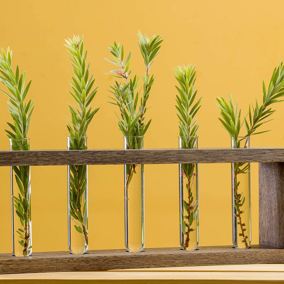 5 Test Tube Planter( ID-BR-003 )