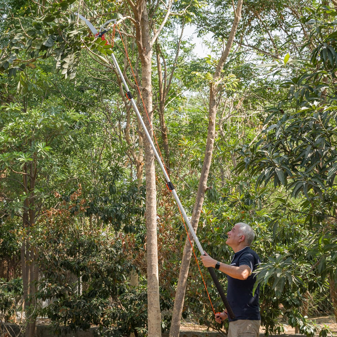 Sharpex 11 feet 3 Stage Telescopic Long Cutter for Tree Pruning
