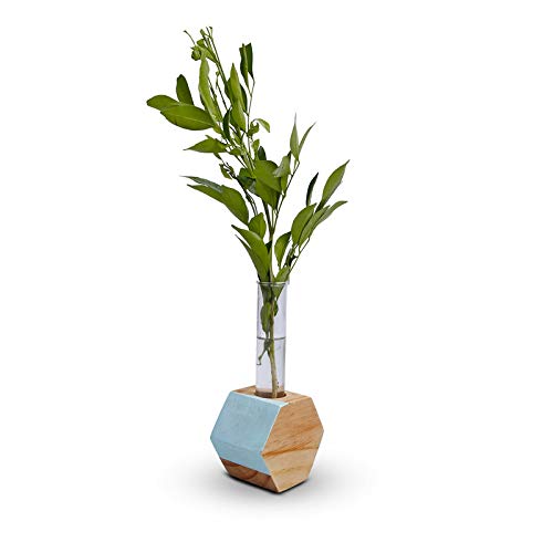 Hexagon Test Tube Wooden Plant Stand (ID-BR-007)