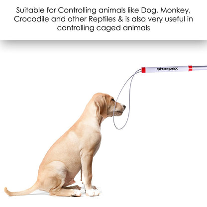 Animal Snare Pole