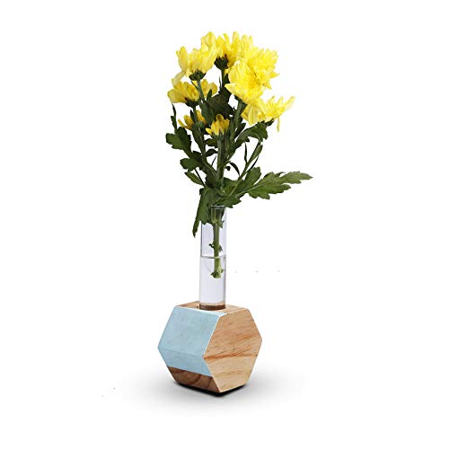 Hexagon Test Tube Wooden Plant Stand (ID-BR-007)