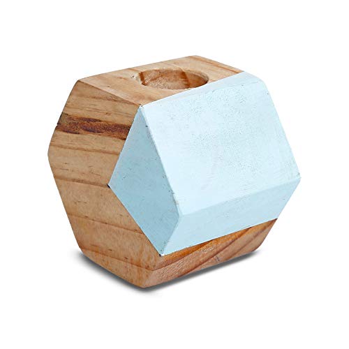 Hexagon Test Tube Wooden Plant Stand (ID-BR-007)