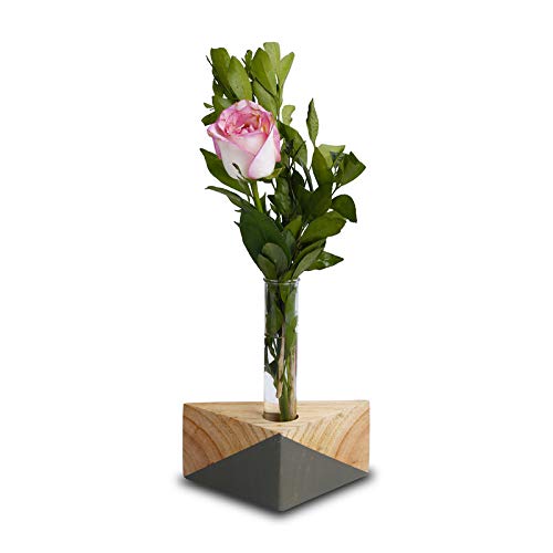 Triangle Test Tube Wooden Plant Stand (ID-BR-008)