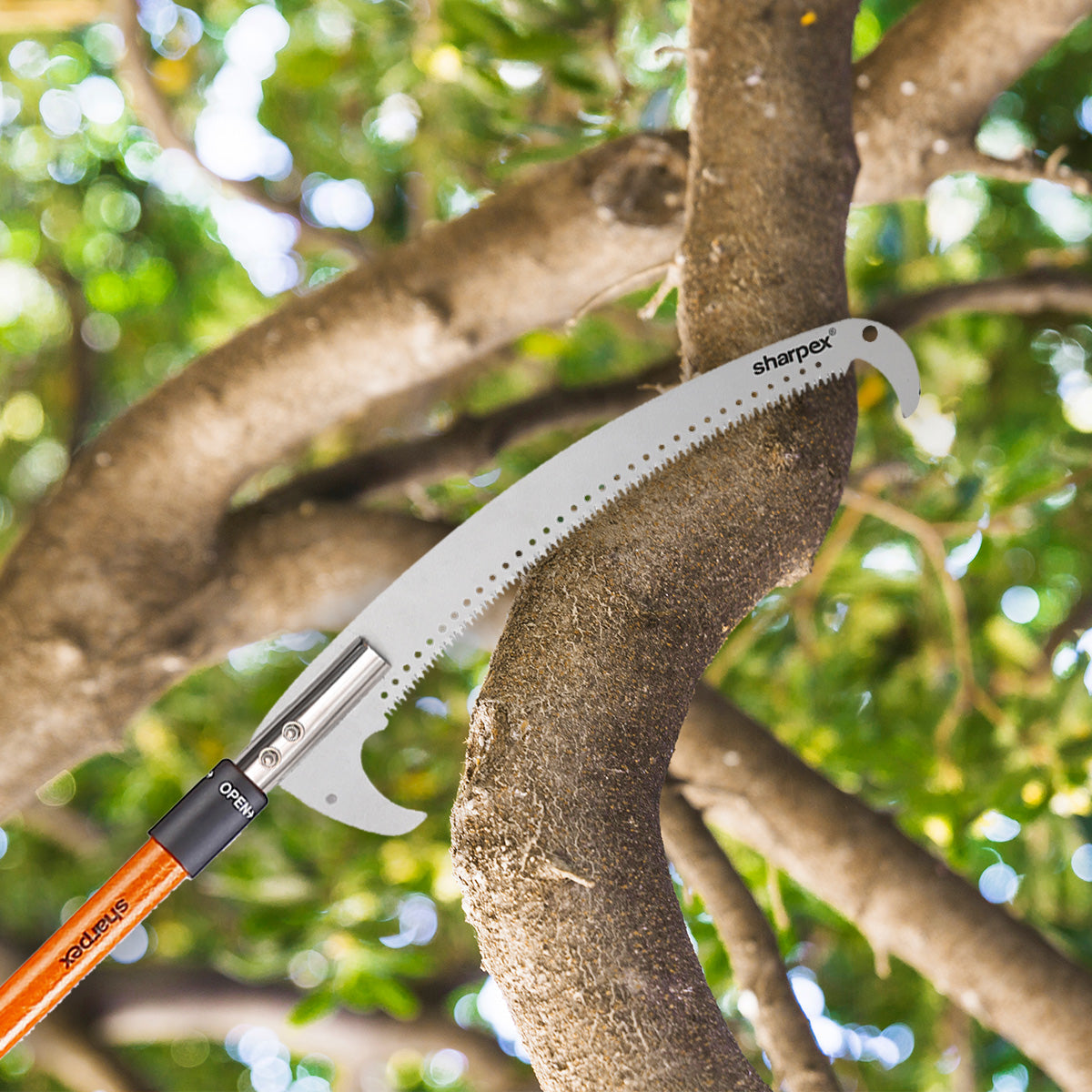 Sharpex 10 FT Pole Saw for Tree Trimming | 6 to 10 feet Long Extension Telescopic Manual Pruning Saw, Tree Branch Cutter For Long Trees, Yard Garden Patios | 43 cm Long Sharp Curved Steel Blade