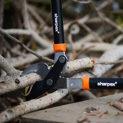 Bypass Lopper with Compound Action