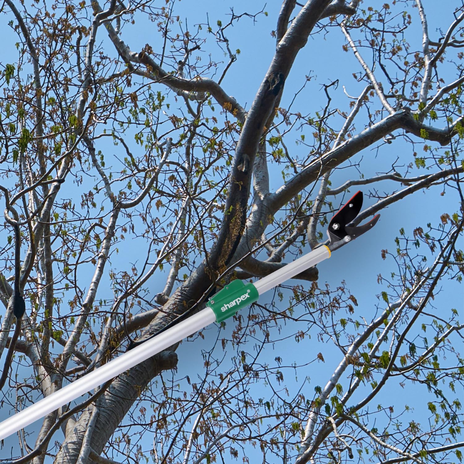 Sharpex 6 Feet Long Reach Pruner Aluminum Telescopic Cut and Hold Pruner Heavy Duty For Tree Branch Cutter &amp; Trimming, Cutting Leaves, Fruit Picker I Cut Up to 1 Inch