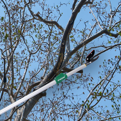 Sharpex 6 Feet Long Reach Pruner Aluminum Telescopic Cut and Hold Pruner Heavy Duty For Tree Branch Cutter &amp; Trimming, Cutting Leaves, Fruit Picker I Cut Up to 1 Inch