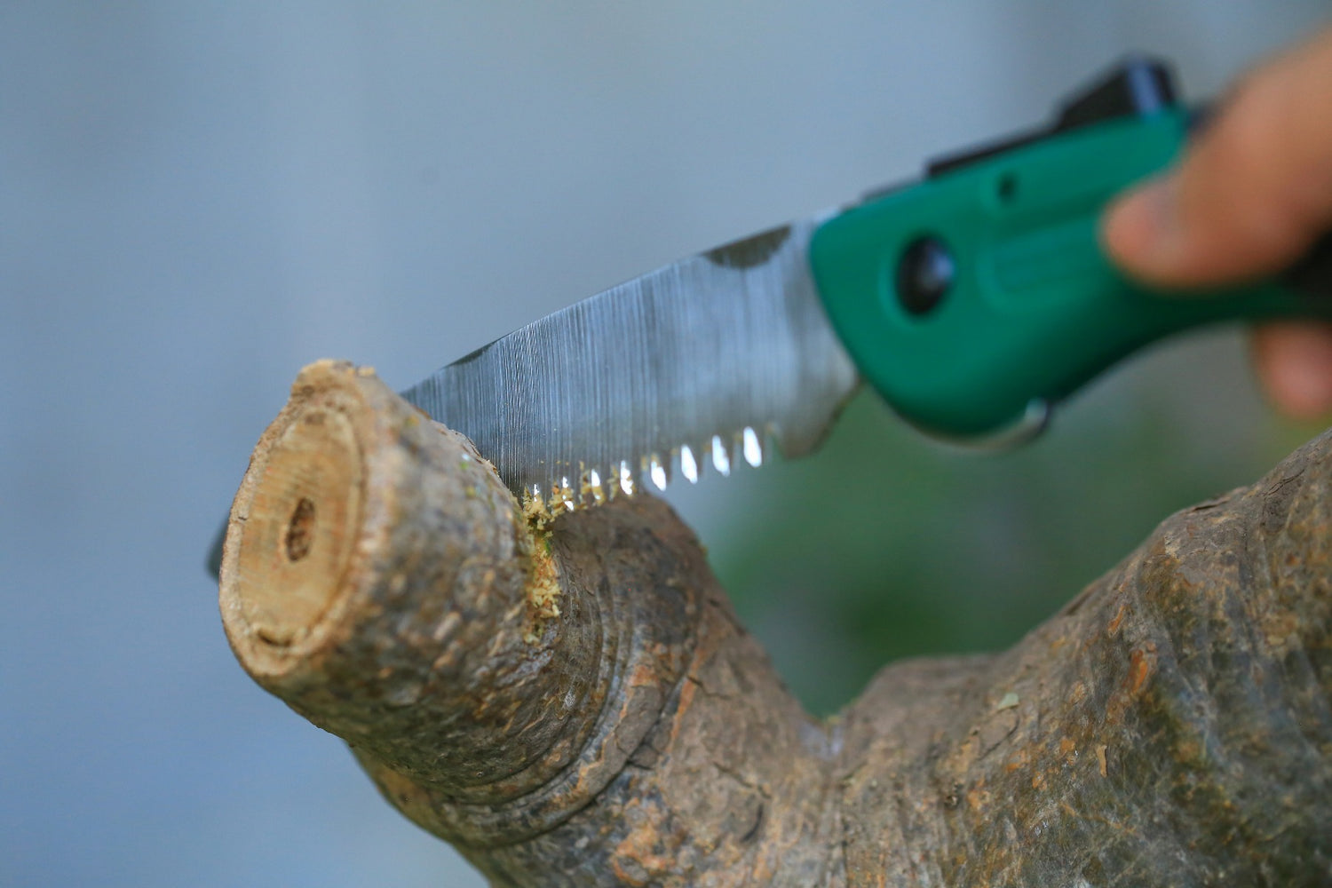Folding Pruning Saw (MS-GR-001)