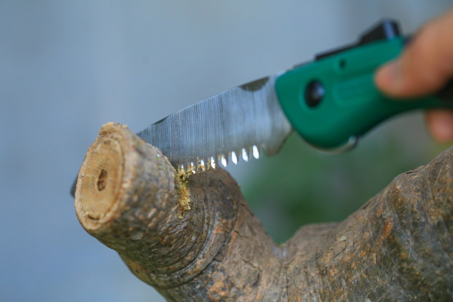 Folding Pruning Saw (MS-GR-001)